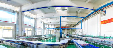 宗慶后暢談娃哈哈罐頭產業 以創新與軟件思維引領，精準滿足消費者需求